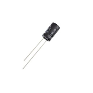 ERCAP005-Electrolytic-Capacitor.